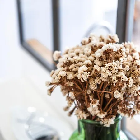 Hotel Le Ravelin - Apt Atypique - Centre Toulouse