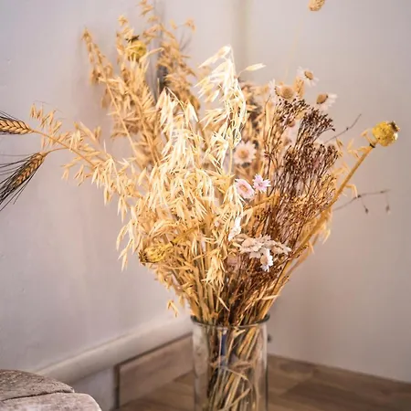 Le Ravelin - Apt Atypique - Centre Hotel