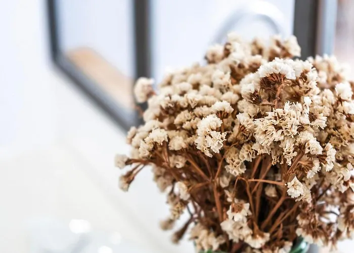 酒店 Le Ravelin - Apt Atypique - Centre 圖盧茲